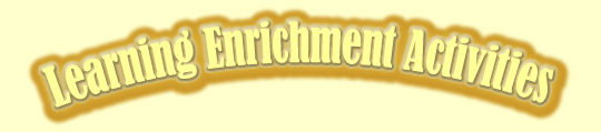 Learning_enrichment_activities_